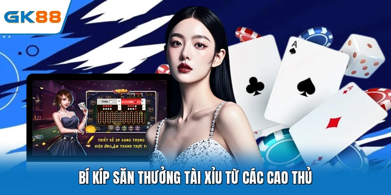Bí kíp săn thưởng tài xỉu từ các cao thủ
